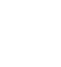 say yes